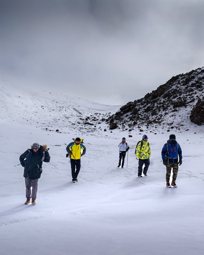 Group of trekkers navigate snowy landscape in Cusco, Peru.